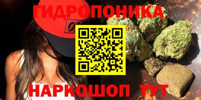 спиды Нарткала