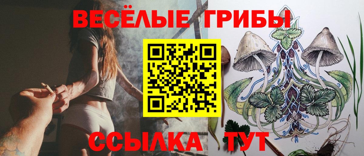 Ступино  Псилоцибиновые грибы MAGIC MUSHROOMS  Вход с VPN 